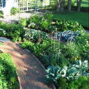 Front Yard Garden