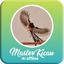 Master Kicau Burung Offline