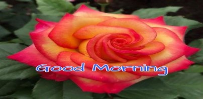 Good Morning Love Images