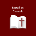 Tzotzil de Chamula Biblia Icon