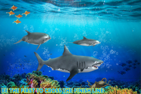 carreras de agua de tiburones screenshot 11