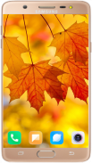 Autumn Wallpaper HD screenshot 6