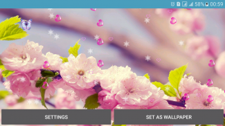 Flower Spring Live Wallpapers screenshot 3