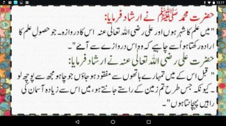 Aqwal e Hazrat Ali RA (Aqwal-e-Zareen) screenshot 11