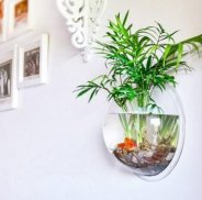 Decorative Plants Indoor screenshot 1