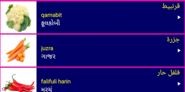 Learn Arabic From Gujarati screenshot 11