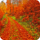 Autumn Wallpaper Icon