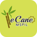 MSPIL E-CANE Icon