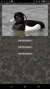 Duck hunting calls screenshot 4