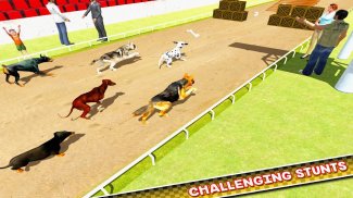 Dog Training Jump & Stunt Sim screenshot 13