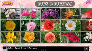 Puzzles of Flowers Free screenshot 3