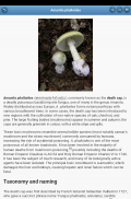 Mushrooms screenshot 12