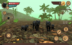 Wild Panther Sim 3D screenshot 3
