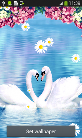 68 Download Wallpaper Gambar Romantis HD Terbaru