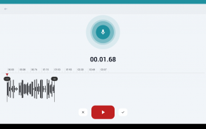 Raccoon Sounds screenshot 1