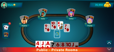 Bhabhi: Multiplayer Card Game screenshot 16