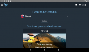 Slovak Language Tests screenshot 6