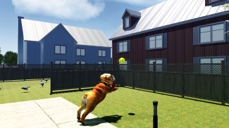 Bull Dog Simulator screenshot 4