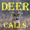 Deer Calls HD