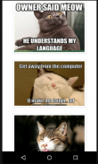 Funny Cats Pictures screenshot 0