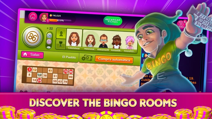 bingo rider jogo casino