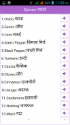 Word Book English to Hindi screenshot 1