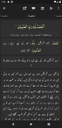 Tafseer-e-Usmani - Quran Translation and Tafseer screenshot 2