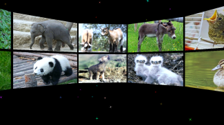 Baby Animal Sounds for Kids screenshot 7