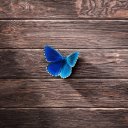 Minimalism Wallpapers HD icon