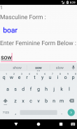 Masculine Feminine Nouns Quiz screenshot 6