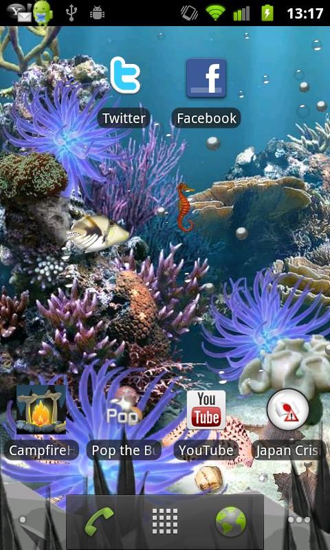 Coral App Download Android