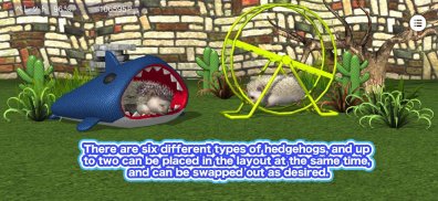 My Hedgehog screenshot 5