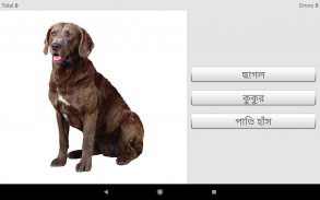 Belajar kata bahasa Bengali dengan Smart-Teacher screenshot 13