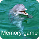 Dolphins Memory Game