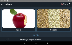 Hebrew Language Tests screenshot 0