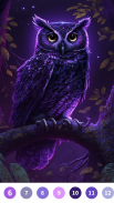 Owl Paint by Number Coloring screenshot 1