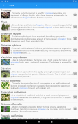 Plantes médicinales screenshot 11