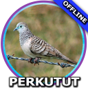 Suara Burung Perkutut Mp3