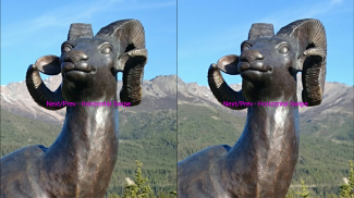 3D Stereo Photo Viewer screenshot 0