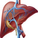 Liver Cirrhosis