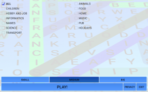 Word search screenshot 5