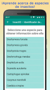 InsectID – Identifica Insectos screenshot 14