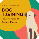 Dog Training - How To Raise The Perfect Puppy