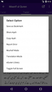Maarif ul Quran screenshot 4
