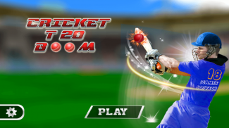Cricket T20 Boom screenshot 0