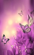 Butterfly Live Wallpaper screenshot 2