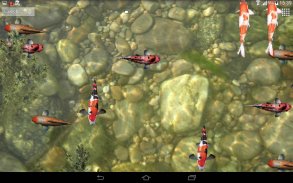 Koi Fish Live Wallpaper 3D screenshot 3
