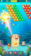 Bubble Shooter Dog - Classic Bubble Pop Game screenshot 0