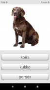 Learn Finnish words with ST screenshot 16