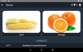 Shona Language Tests screenshot 17